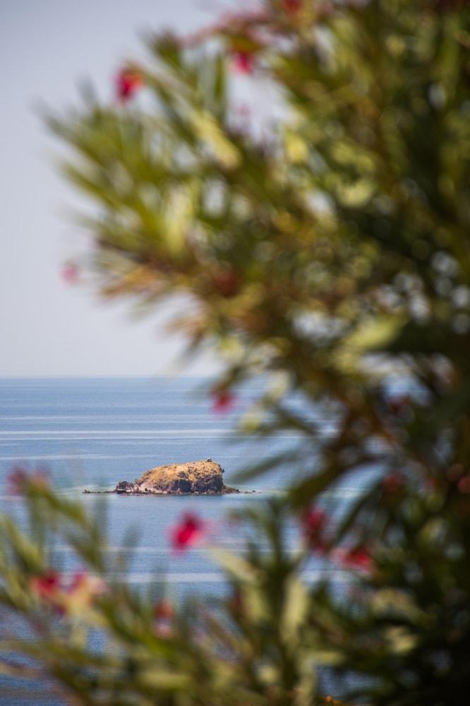Little Bird Petra (Lesbos) Exterior foto