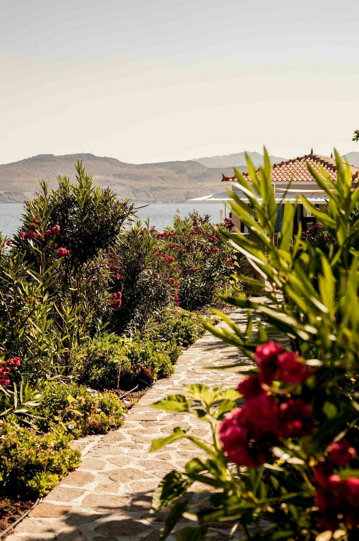 Little Bird Petra (Lesbos) Exterior foto